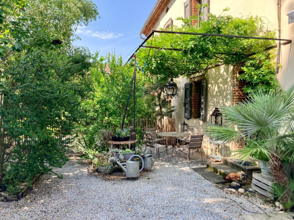 16 Bis-Gite-Hotel-Studio Marssac-sur-Tarn Exterior foto